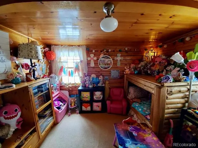22585 County Road 292 Nathrop, CO 81236