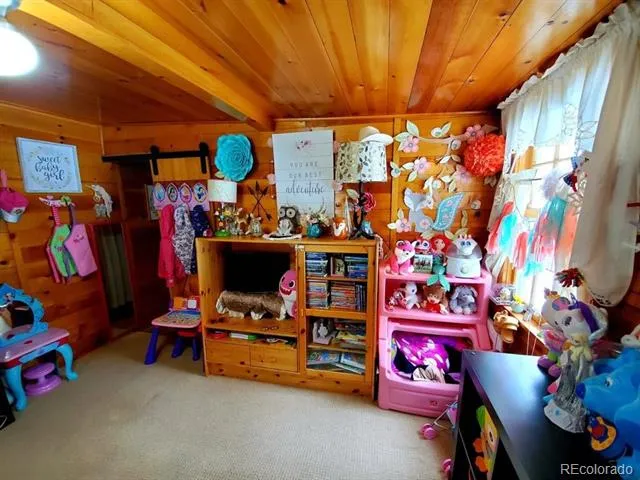 22585 County Road 292 Nathrop, CO 81236