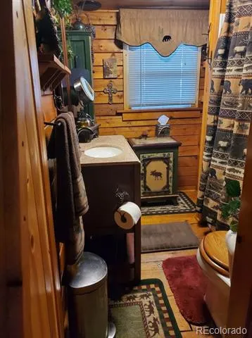 22585 County Road 292 Nathrop, CO 81236