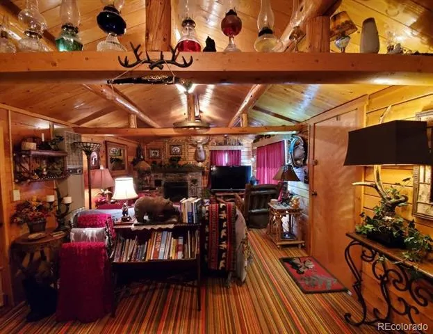 22585 County Road 292 Nathrop, CO 81236