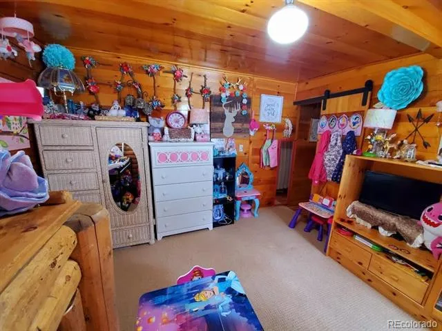 22585 County Road 292 Nathrop, CO 81236