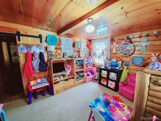 22585 County Road 292 Nathrop, CO 81236