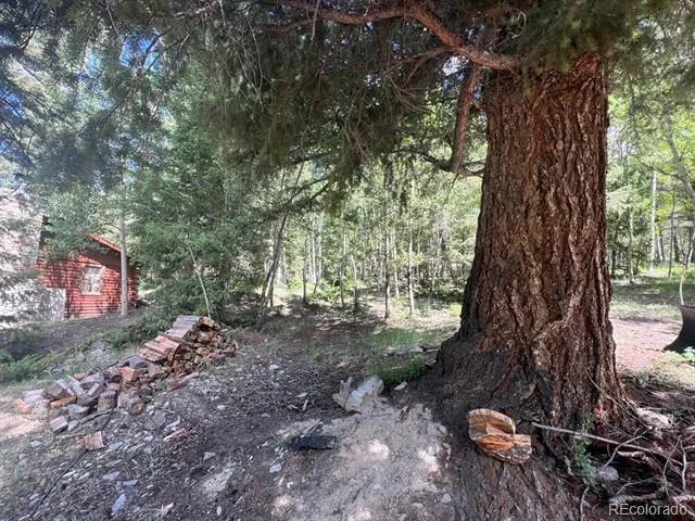 22585 County Road 292 Nathrop, CO 81236