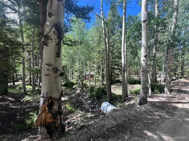 22585 County Road 292 Nathrop, CO 81236
