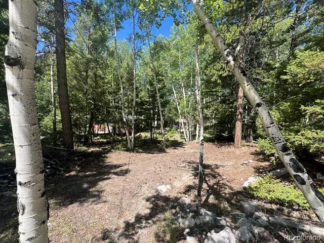 22585 County Road 292 Nathrop, CO 81236