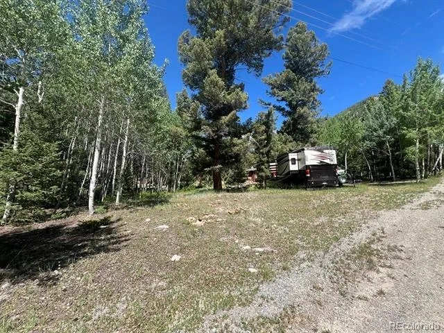 22585 County Road 292 Nathrop, CO 81236