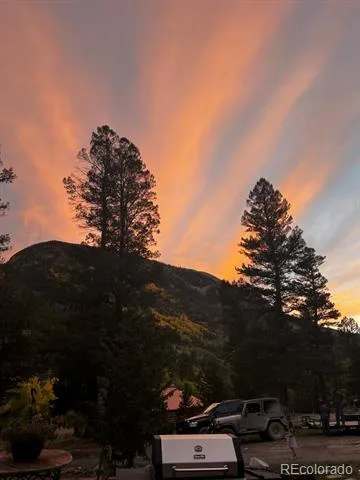 22585 County Road 292 Nathrop, CO 81236