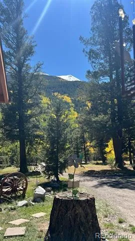 22585 County Road 292 Nathrop, CO 81236