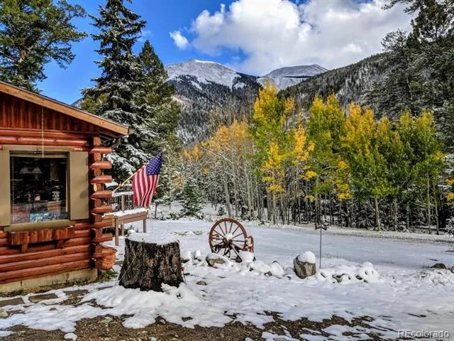 22585 County Road 292 Nathrop, CO 81236
