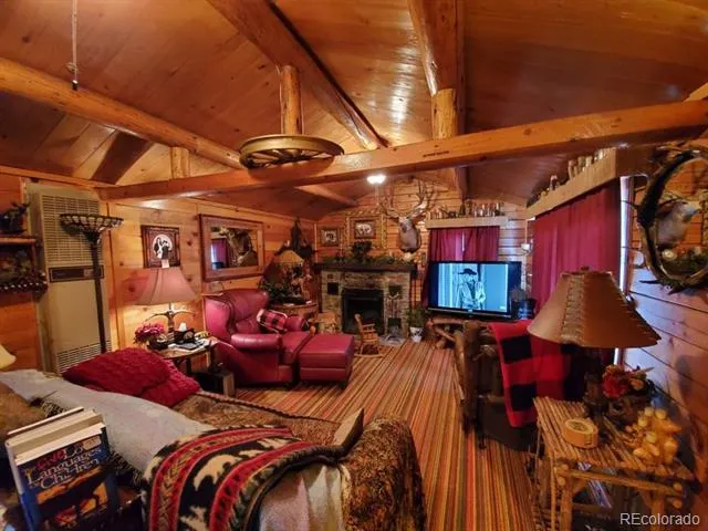 22585 County Road 292 Nathrop, CO 81236