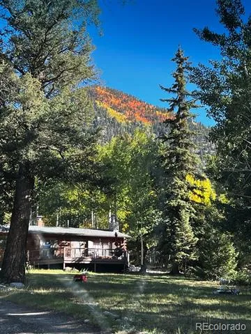 22585 County Road 292 Nathrop, CO 81236