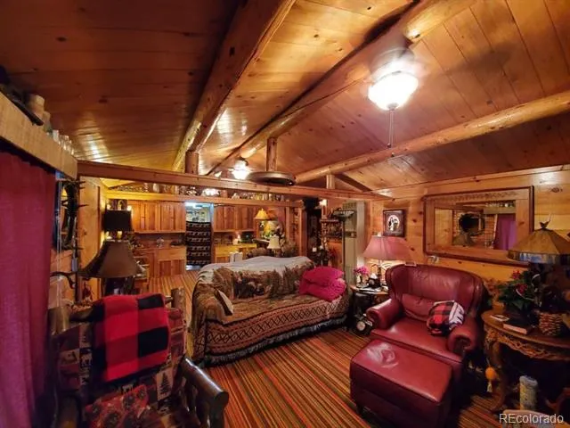 22585 County Road 292 Nathrop, CO 81236