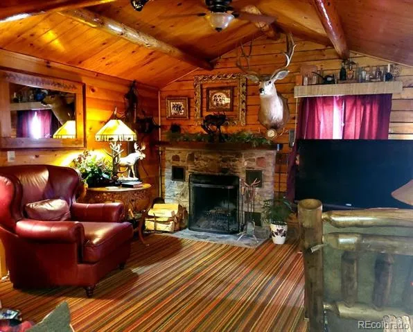 22585 County Road 292 Nathrop, CO 81236