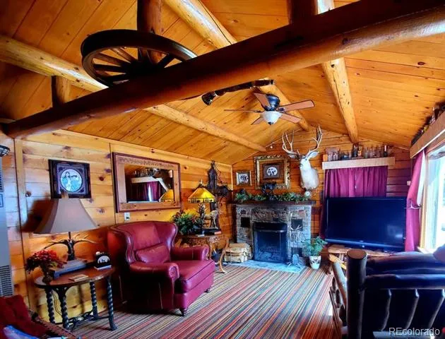 22585 County Road 292 Nathrop, CO 81236