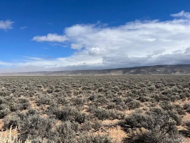 TBD County Road 11.5 Garcia, CO 81152