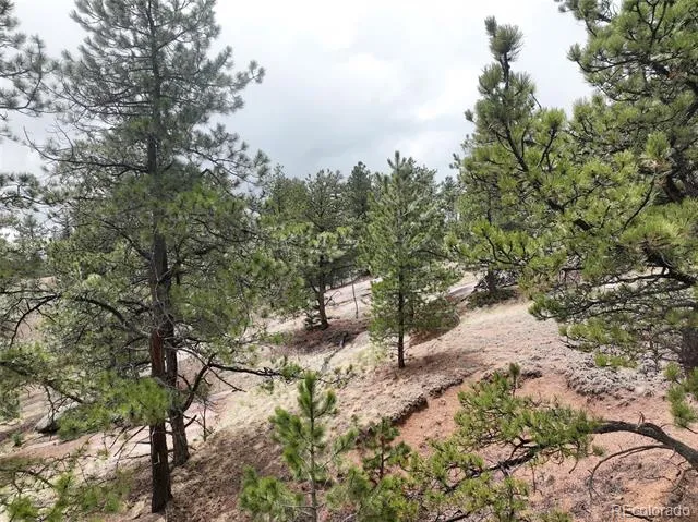 255 Pinon Lane Florissant, CO 80816