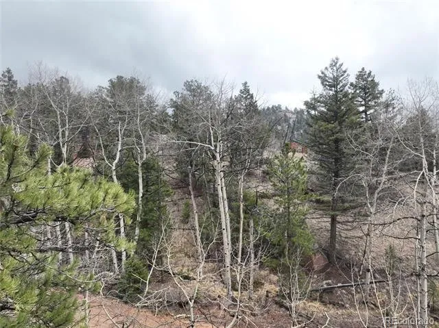255 Pinon Lane Florissant, CO 80816