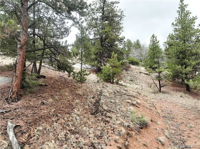 255 Pinon Lane Florissant, CO 80816