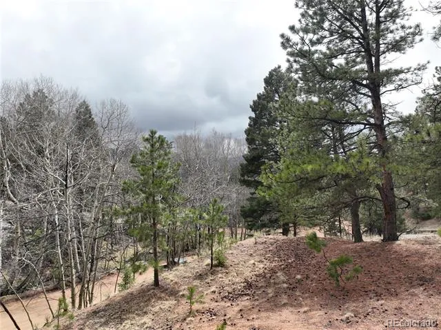 255 Pinon Lane Florissant, CO 80816