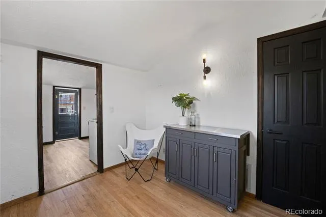 307 Elm Street Leadville, CO 80461