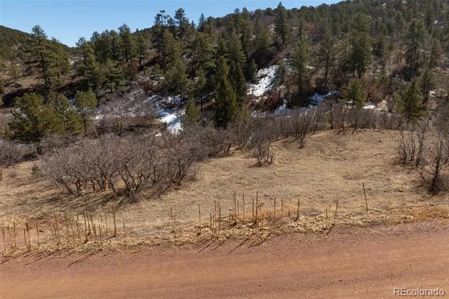 Chris Crossover Canon City, CO 81212