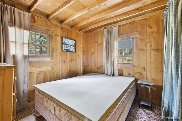 114 Mt Powderhorn Lane Florissant, CO 80816