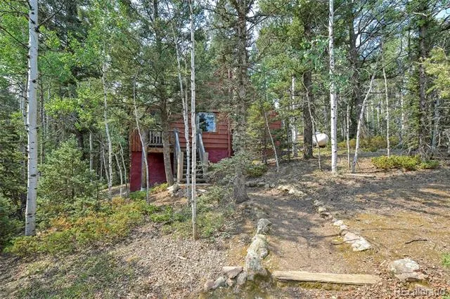 114 Mt Powderhorn Lane Florissant, CO 80816