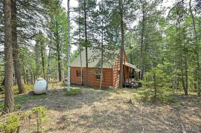 114 Mt Powderhorn Lane Florissant, CO 80816