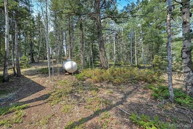114 Mt Powderhorn Lane Florissant, CO 80816