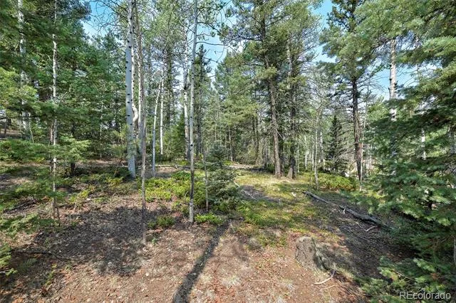 114 Mt Powderhorn Lane Florissant, CO 80816