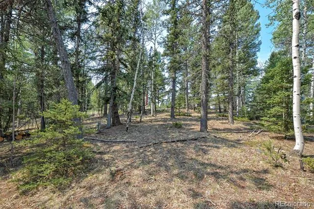 114 Mt Powderhorn Lane Florissant, CO 80816