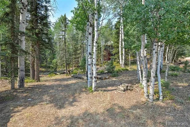 114 Mt Powderhorn Lane Florissant, CO 80816