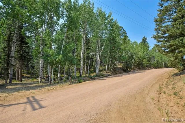 114 Mt Powderhorn Lane Florissant, CO 80816