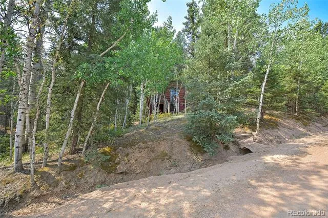 114 Mt Powderhorn Lane Florissant, CO 80816