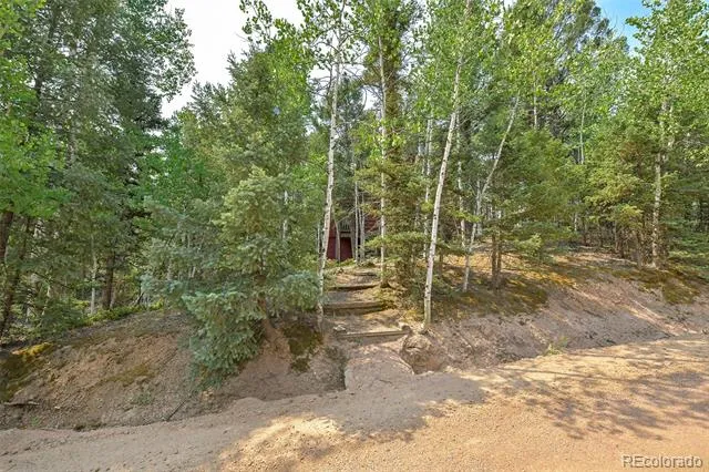 114 Mt Powderhorn Lane Florissant, CO 80816