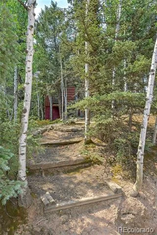 114 Mt Powderhorn Lane Florissant, CO 80816