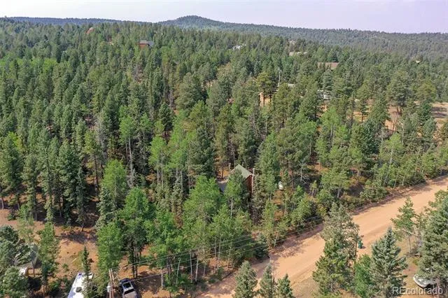114 Mt Powderhorn Lane Florissant, CO 80816