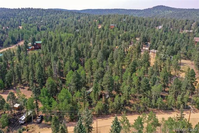 114 Mt Powderhorn Lane Florissant, CO 80816