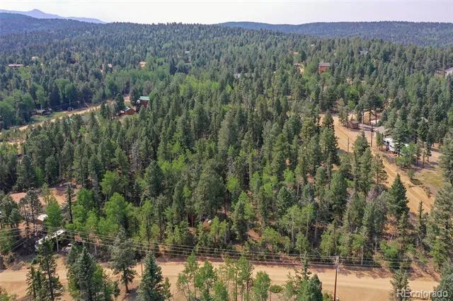 114 Mt Powderhorn Lane Florissant, CO 80816