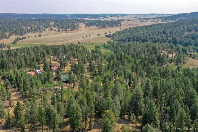 114 Mt Powderhorn Lane Florissant, CO 80816