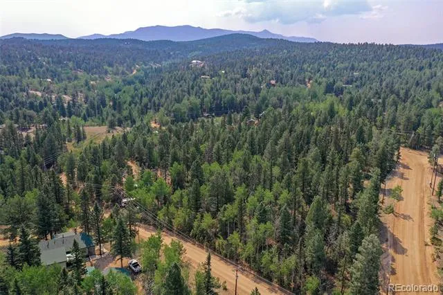 114 Mt Powderhorn Lane Florissant, CO 80816