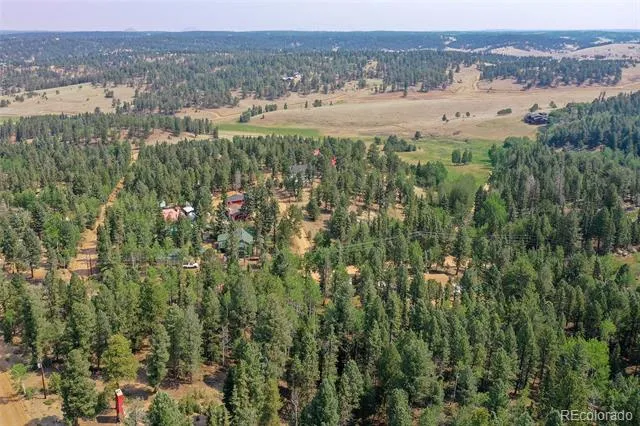 114 Mt Powderhorn Lane Florissant, CO 80816