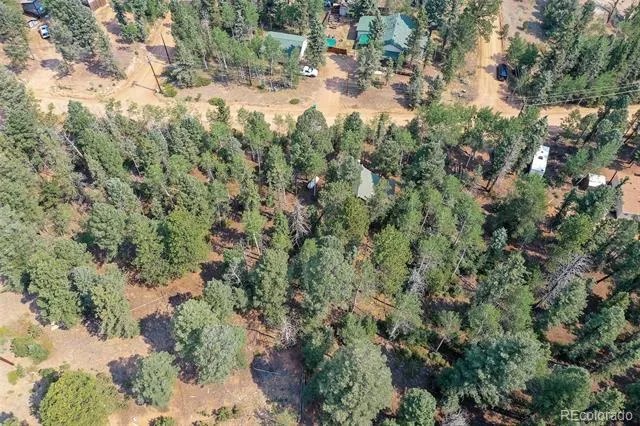 114 Mt Powderhorn Lane Florissant, CO 80816