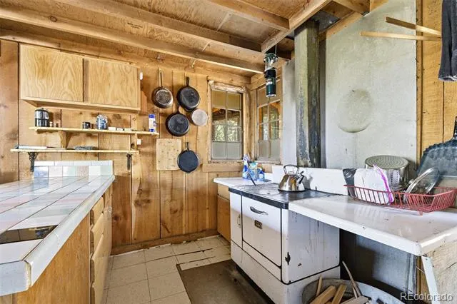 114 Mt Powderhorn Lane Florissant, CO 80816