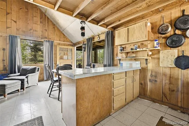 114 Mt Powderhorn Lane Florissant, CO 80816