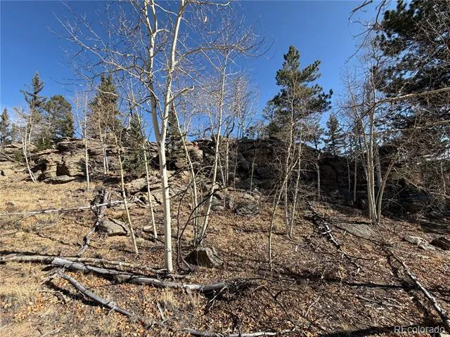 2201 Overland Circle Jefferson, CO 80456