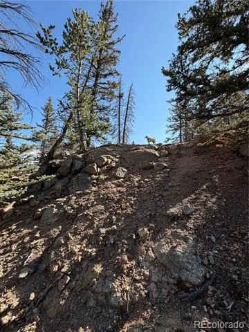 2201 Overland Circle Jefferson, CO 80456