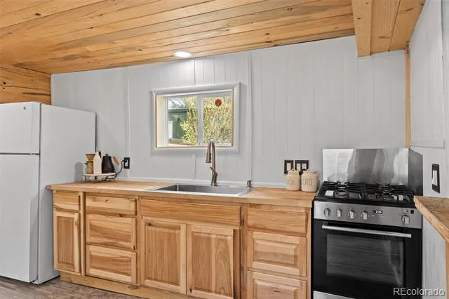 15535 S Elk Creek Road Pine, CO 80470