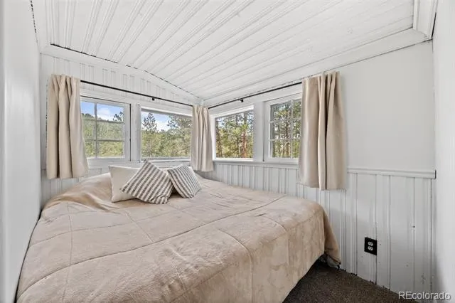 15535 S Elk Creek Road Pine, CO 80470
