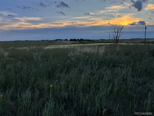 40655 Truckton Road Rush, CO 80833